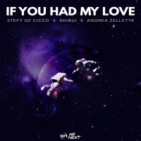 If You Had My Love (Single)