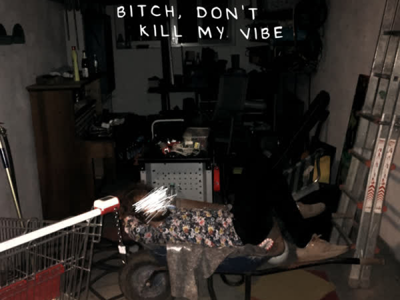 Bitch, Don't Kill My Vibe (Single)