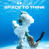 Space to Think (Single)