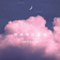 你说你还爱我 (Single)