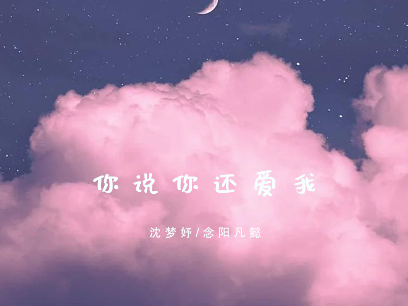 你说你还爱我 (Single)
