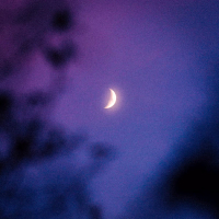 SI TU M'HO DEMANES (Single)