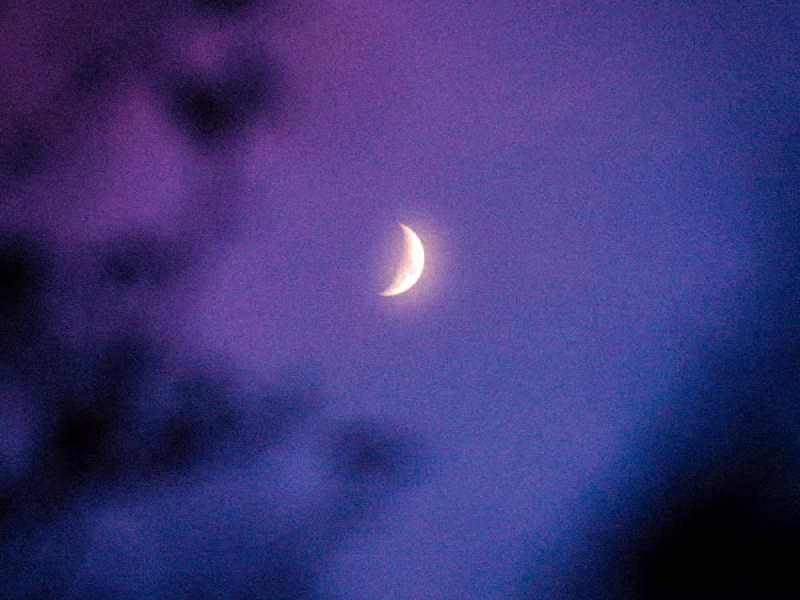 SI TU M'HO DEMANES (Single)