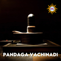 Pandaga Vachinadi (Single)