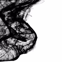 The Solent (Polymod Remix) (Single)