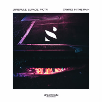 Crying in the Rain (Single)