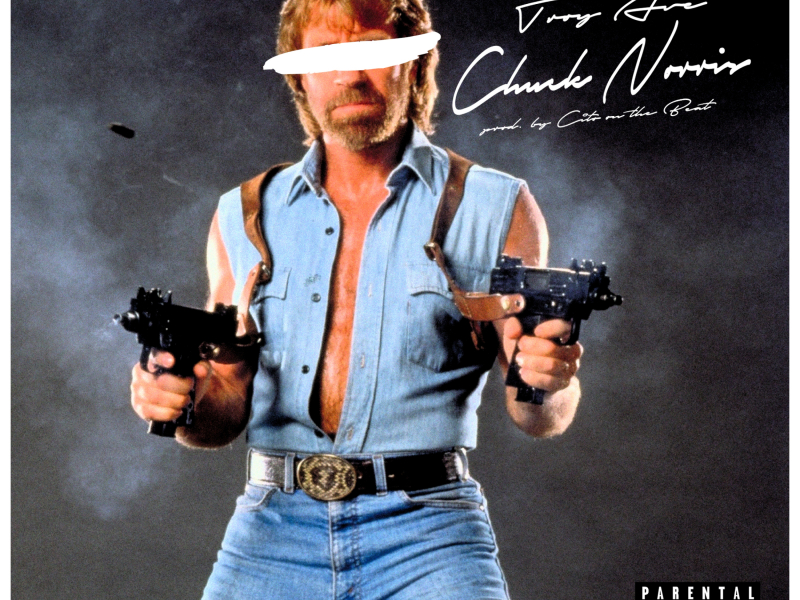 Chuck Norris (Hoes & Gangstas)