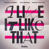 I Like It Like That (Single)