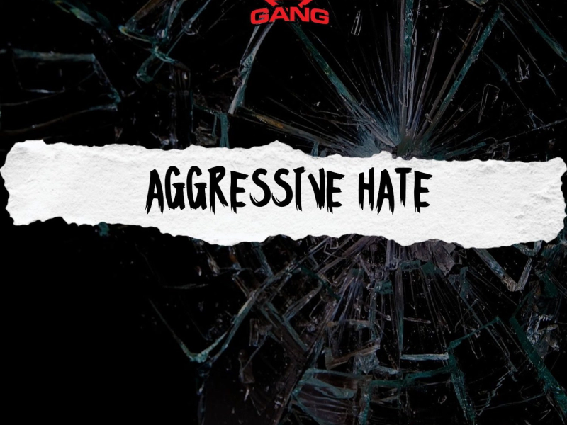 Aggressive Hate (feat. Symba & Hitman Holla ) (Single)