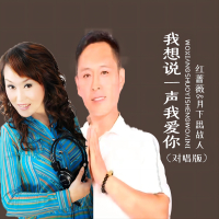 我想说一声我爱你（对唱版） (Single)