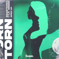 Torn - Sped Up (Single)