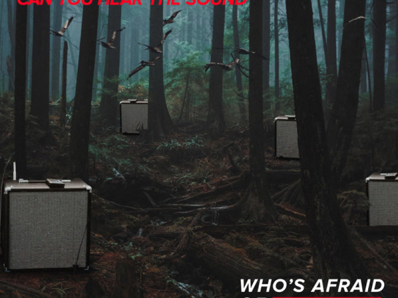 Can You Hear The Sound (Single)