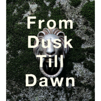 From Dusk Till Dawn (Single)