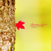 Autumn Leaves And Footsteps (Single)