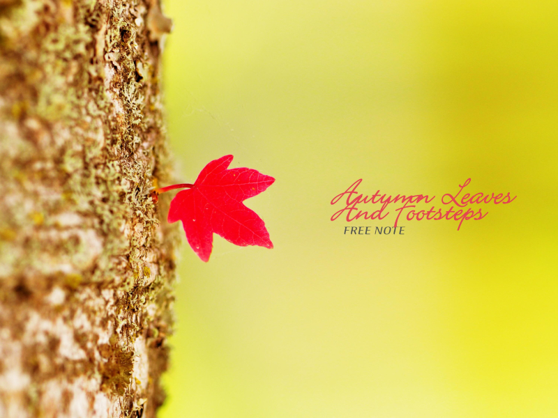 Autumn Leaves And Footsteps (Single)