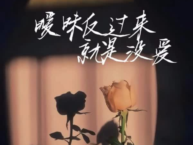 暧昧反过来就是没爱 (DJ小建版) (Single)