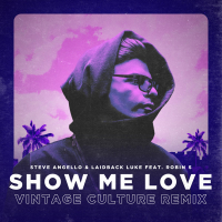 Show Me Love (Vintage Culture Remix) (Single)
