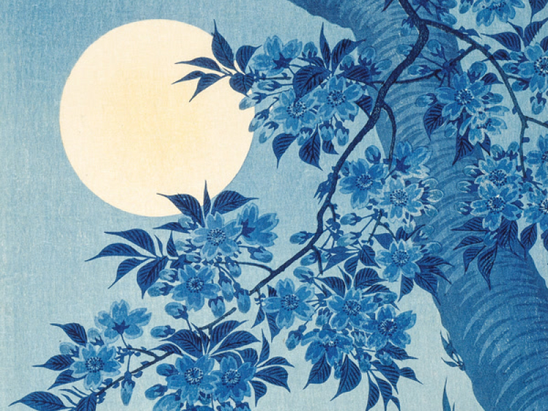 Starlight River (EP)