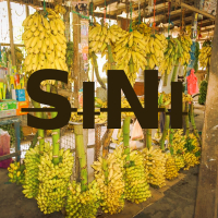Sini (Single Edit)