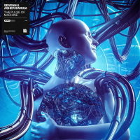 The Pulse Of Machine (Single)