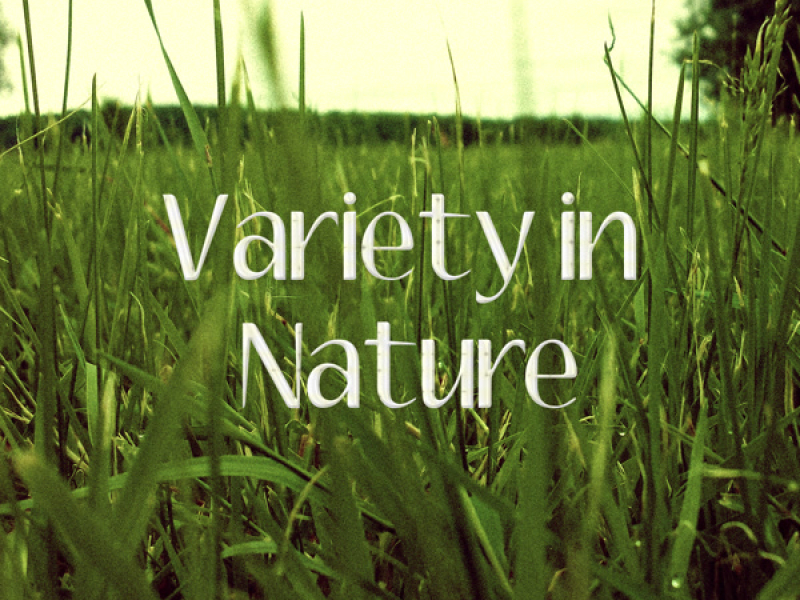 Variety in Nature