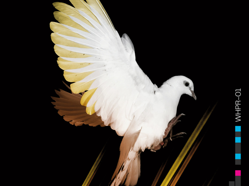 Wouldn't Believe (Single)