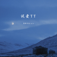 试爱TT (Single)