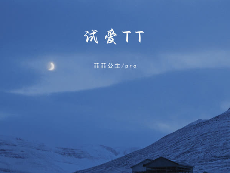 试爱TT (Single)
