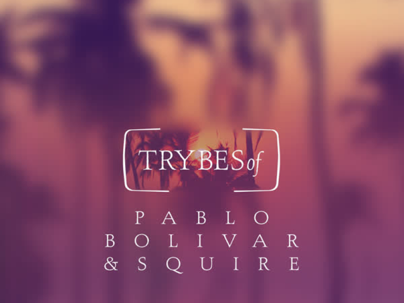 The Leftovers of Stars Collide