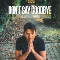 Don't Say Goodbye (Single)