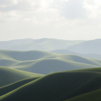 Caminho Pela Natureza Viva (Single)