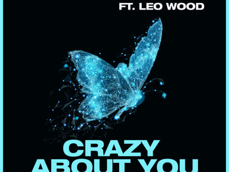 Crazy About You (Single)