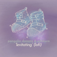 Levitating (lofi Version) (Single)