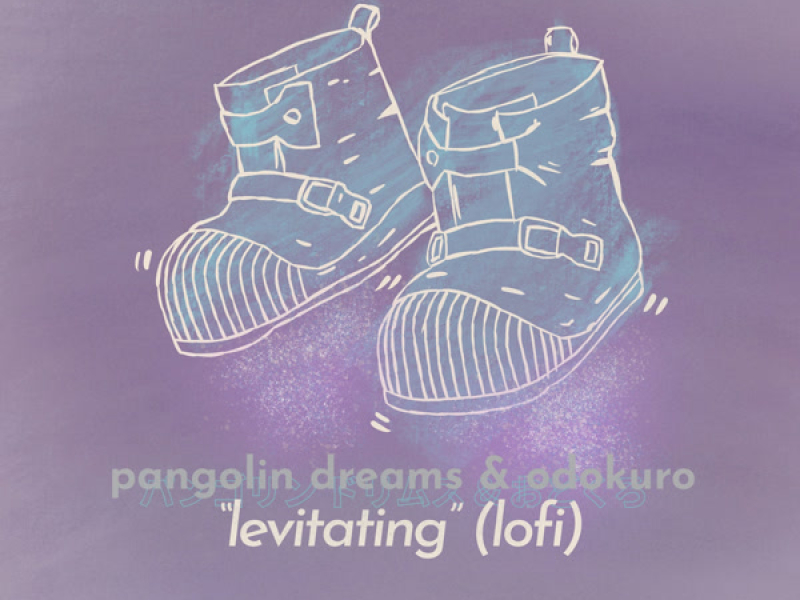 Levitating (lofi Version) (Single)