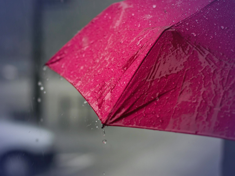 Relaxing Sound of Rain on Umbrella in Forest to Help Sleep and Study (Single)