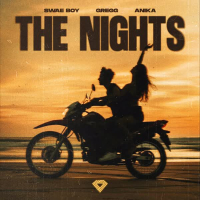 The Nights (Techno Mix) (Single)