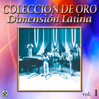 Coleccíon De Oro: A Bailar La Salsa Con Dimensíon Latina, Vol. 1