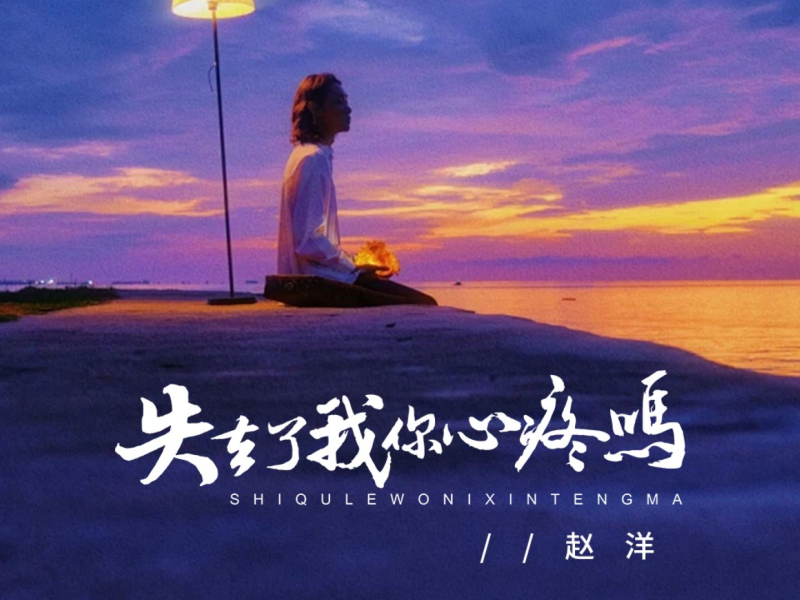 失去了我你心疼吗 (Single)
