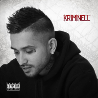 Kriminell (Single)