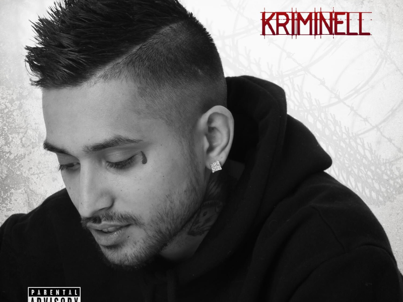 Kriminell (Single)