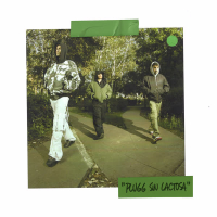 Plugg Sin Lactosa (Single)