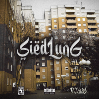 Siedlung (Single)