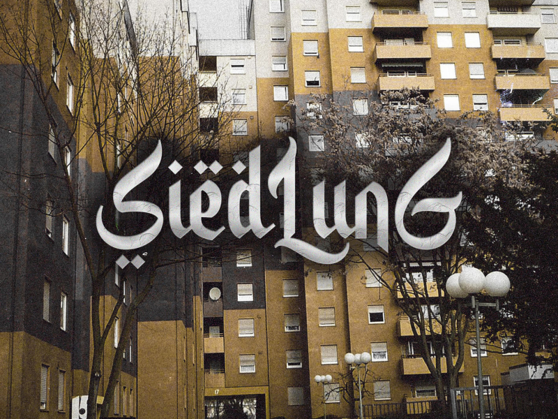 Siedlung (Single)