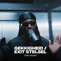 Gekkigheid / Exit Stelsel (Single)