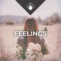 Feelings (Single)