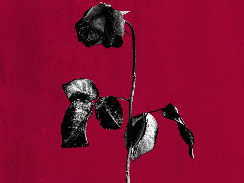 dirty laundry (slowed) (Single)