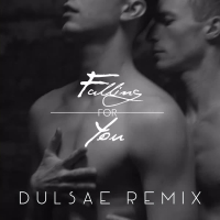 Falling for You (Dulsae Remix) (Single)