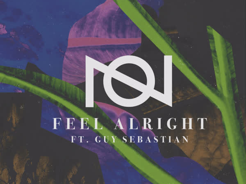 Feel Alright (feat. Guy Sebastian) (Steerner Remix) (Single)