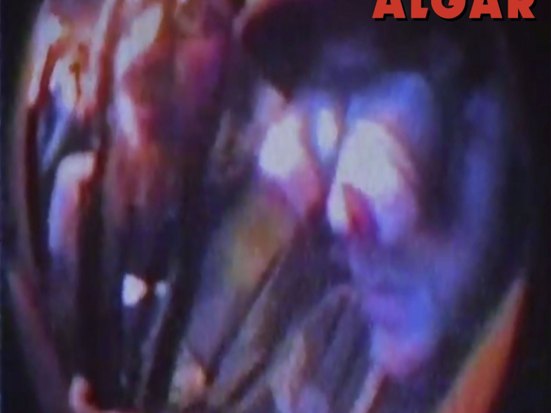 Campbell & Algar (Single)