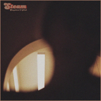 Steam (Single)